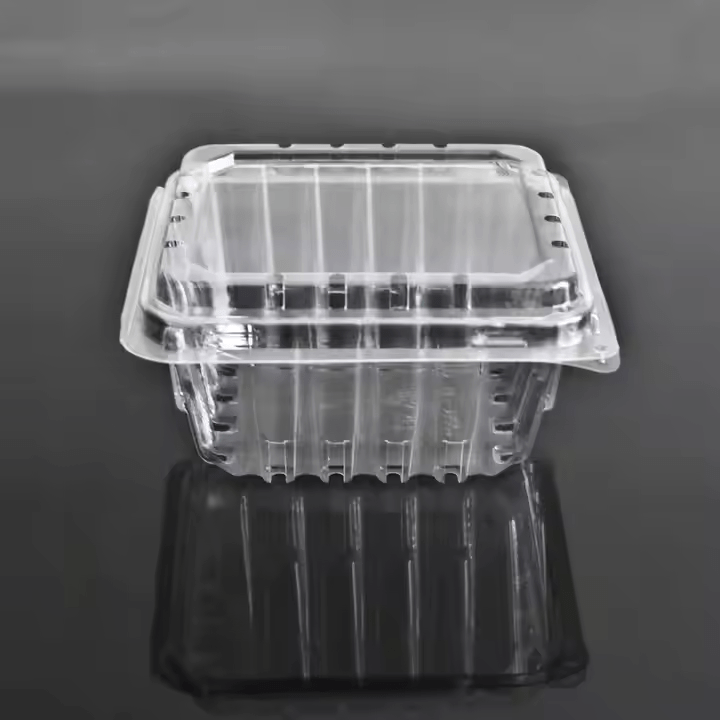 perforated freshness box